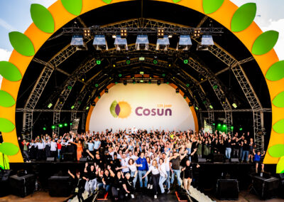 Cosun Festival Sugar-Art