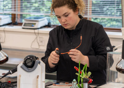 Sugar-art Workshop, libelle gemaakt door deelnemer