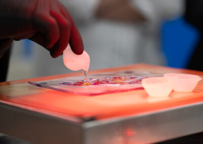 Workshop suikerkunst door Sugar-art. Suiker Gieten
